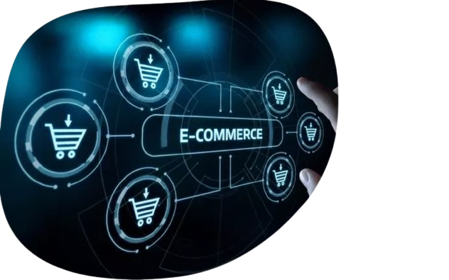 ecommerce1